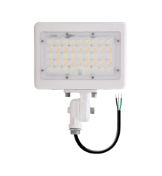 LED Floodlight