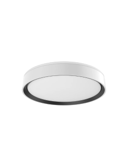 Essex LED Flushmount White with Black