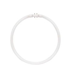 40W 12″ T5 2Gx13 Base 4100K Circl. Flour