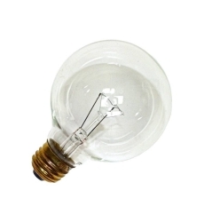 100W G-25 Clear Globe Bulb