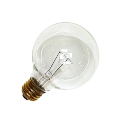 100W G-25 Clear Globe Bulb