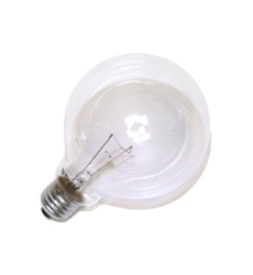 60W G-30 Clear Globe Bulb