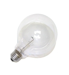 100W G-30 Clear Globe Bulb